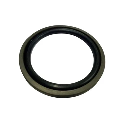 Joint de piston en PTFE Glyd